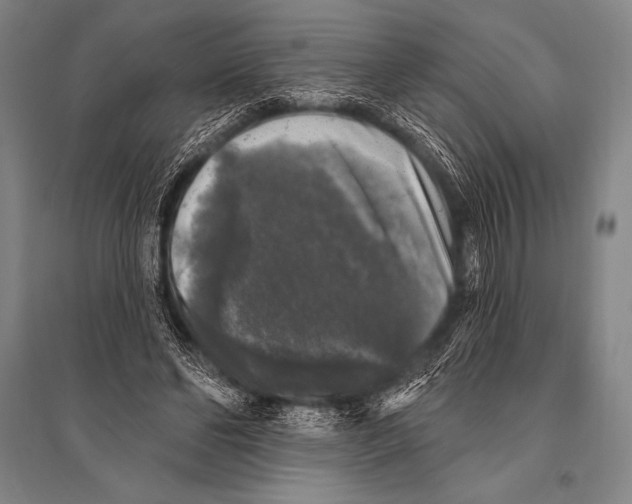 X0000094810494200712141625