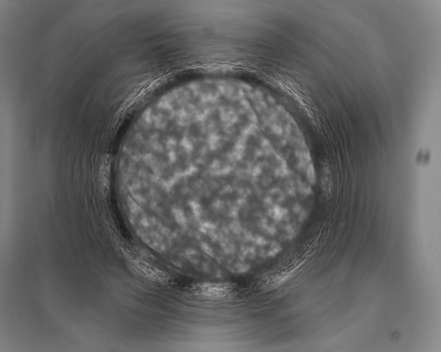 X0000094810495200712141625