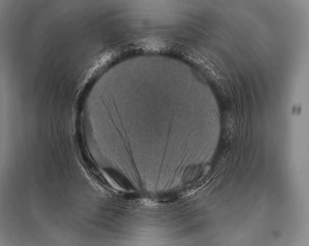 X0000094810496200712141625