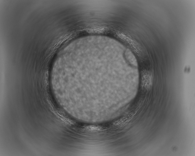 X0000094810498200712141625