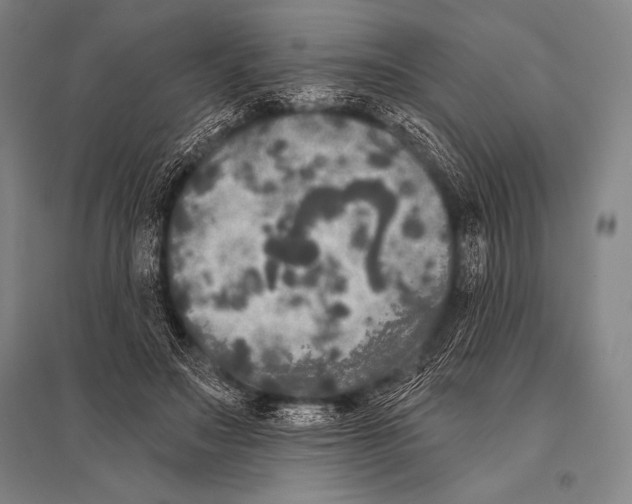 X0000094810499200712141625