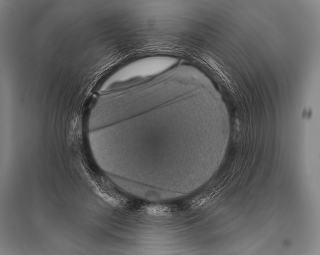 X0000094810500200712141625