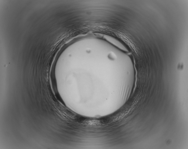 X0000094810501200712141625