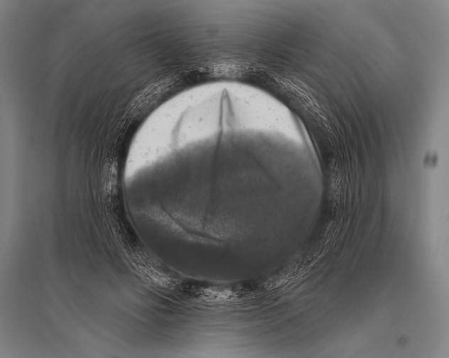 X0000094810502200712141625