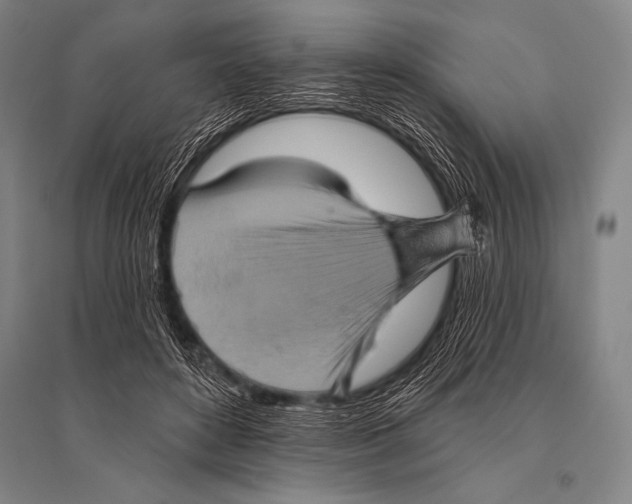 X0000094810504200712141625