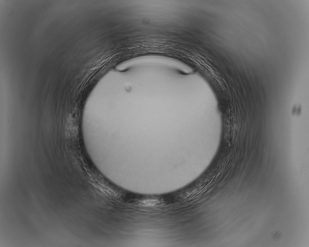 X0000094810505200712141625