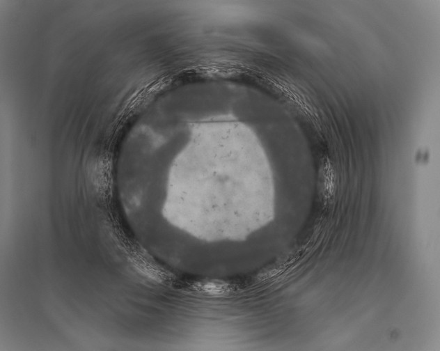 X0000094810506200712141625