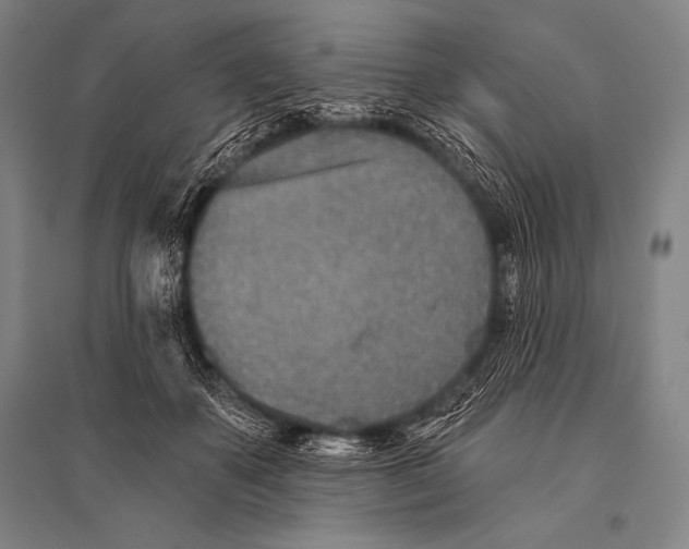 X0000094810507200712141625