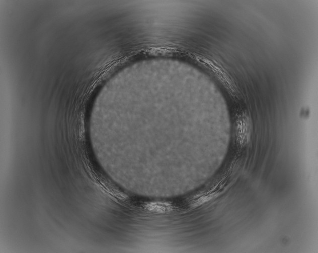 X0000094810508200712141625