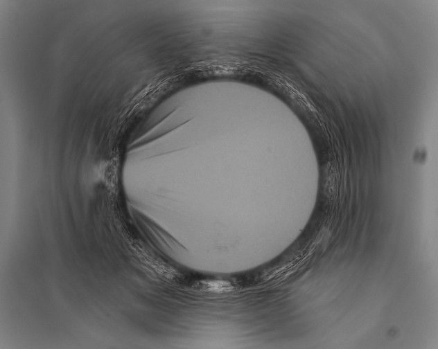 X0000094810509200712141625