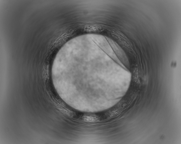 X0000094810510200712141625