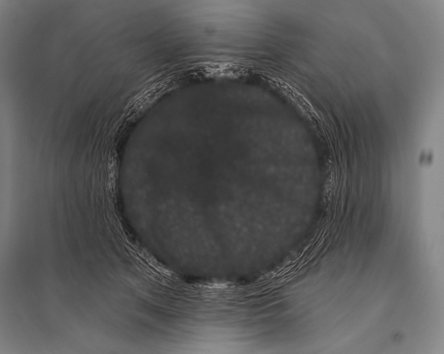 X0000094810513200712141625