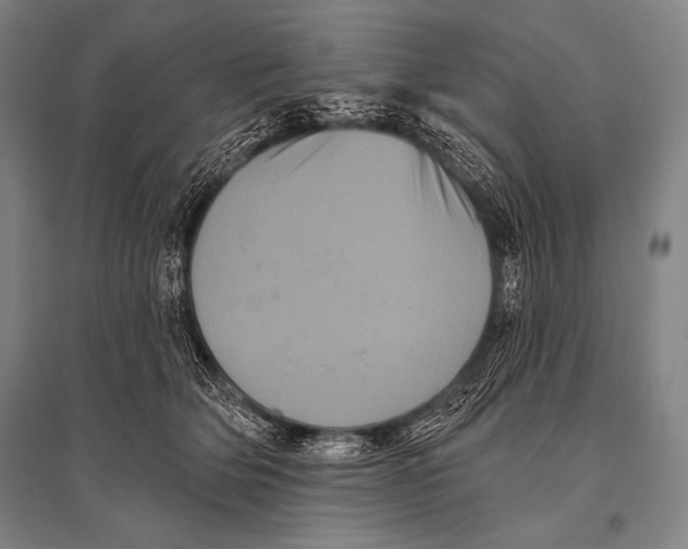 X0000094810514200712141625