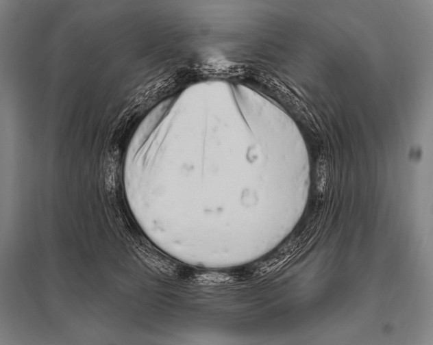 X0000094810515200712141625