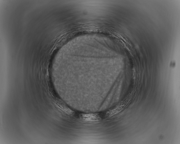 X0000094810516200712141625