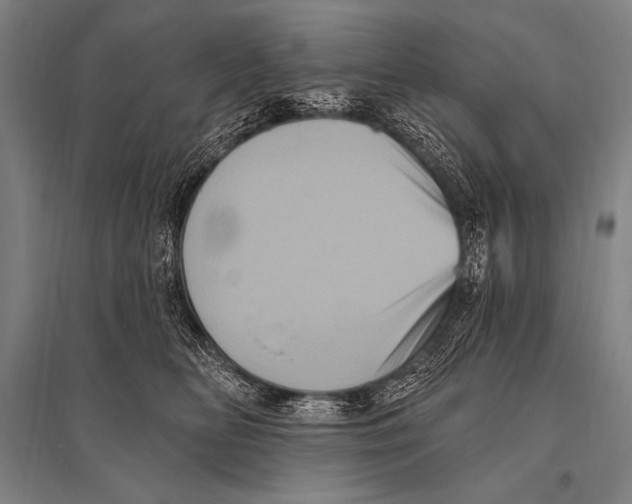 X0000094810518200712141625