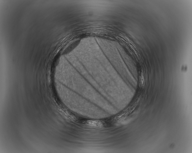 X0000094810520200712141625