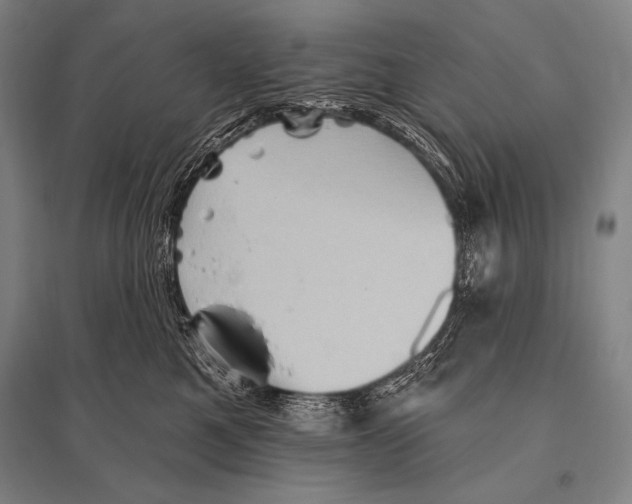 X0000094810521200712141625