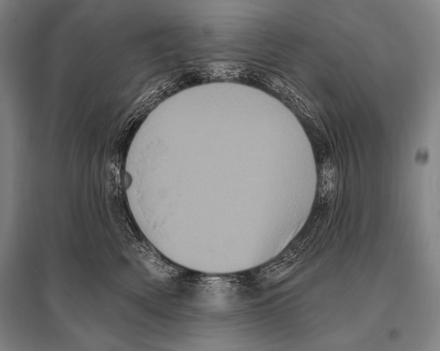 X0000094810522200712141625