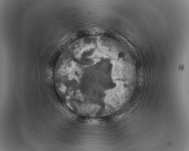 X0000094810523200712141625