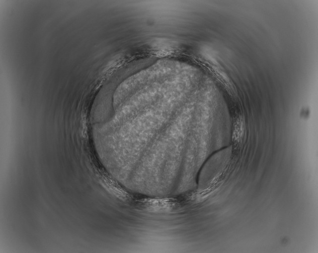 X0000094810524200712141625