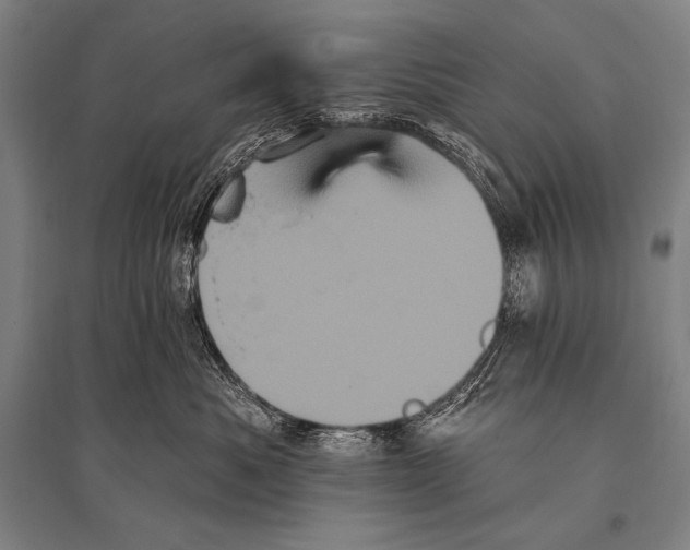 X0000094810525200712141625