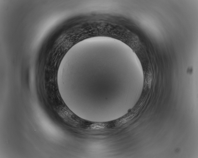 X0000094810526200712141625