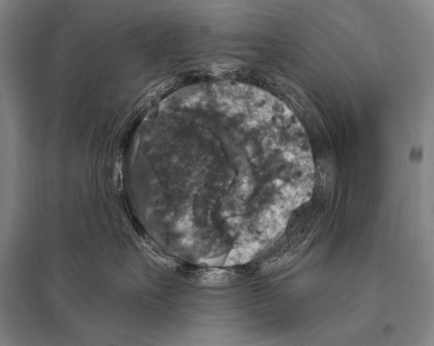 X0000094810527200712141625