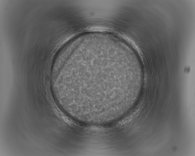 X0000094810529200712141624