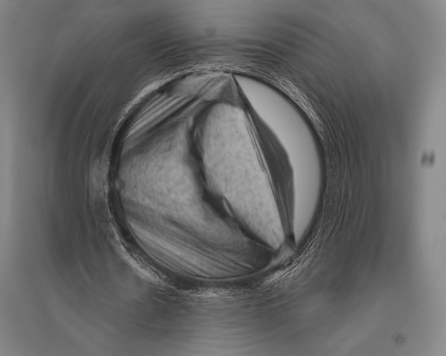 X0000094810530200712141624