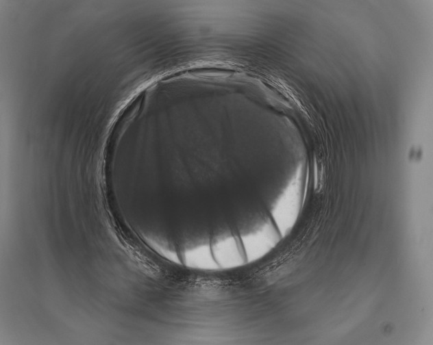 X0000094810531200712141624