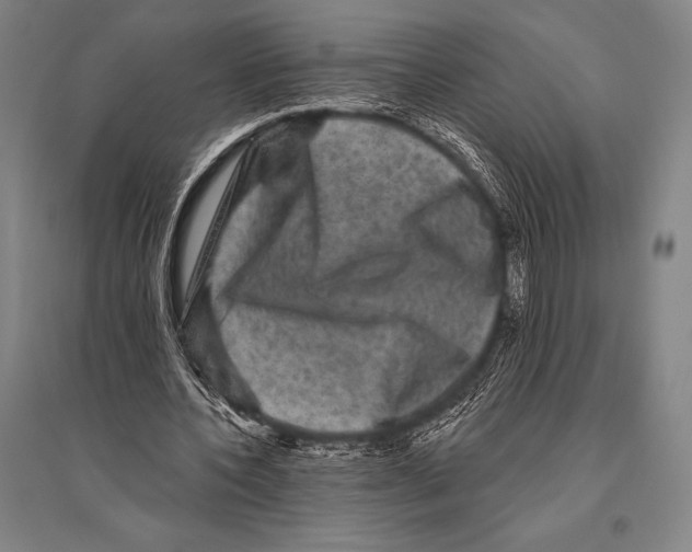 X0000094810532200712141624