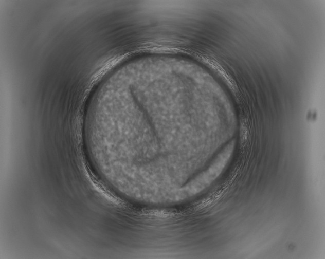 X0000094810533200712141624