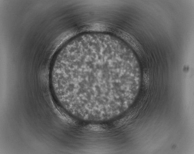 X0000094810534200712141624