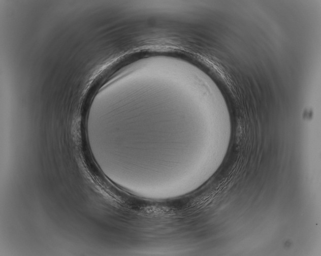 X0000094810535200712141624