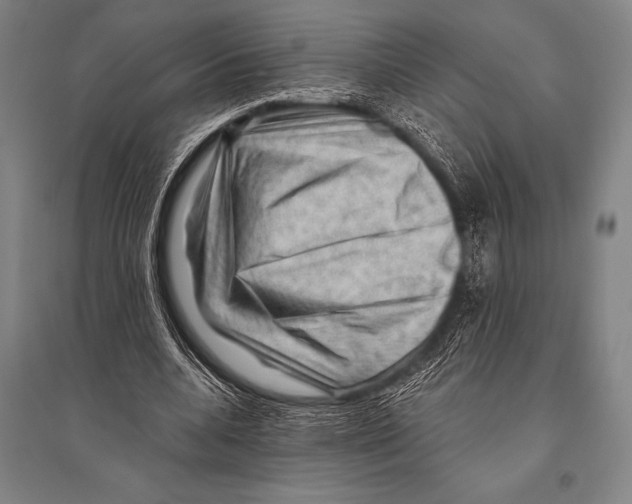 X0000094810536200712141624