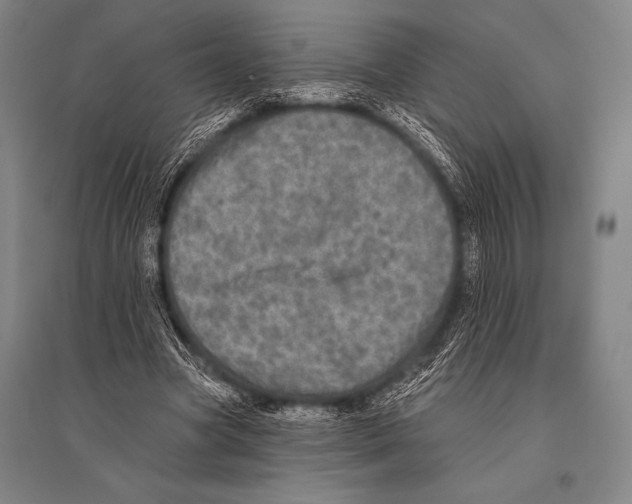 X0000094810537200712141624