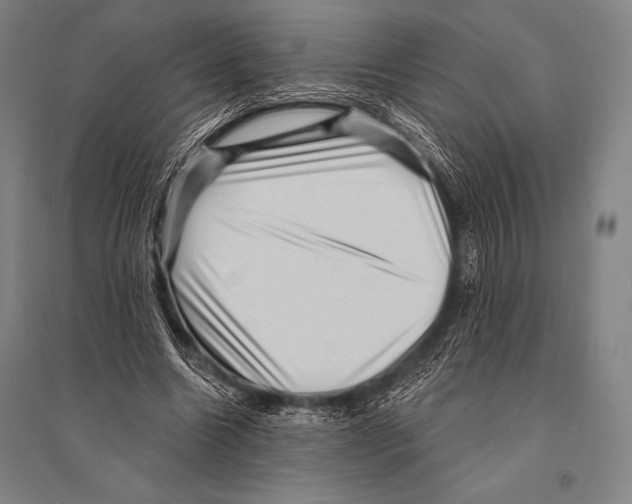 X0000094810538200712141624