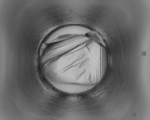 X0000094810540200712141624