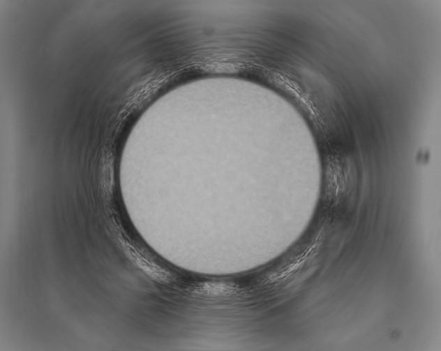 X0000094810541200712141624