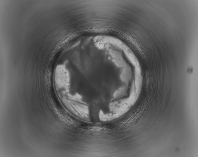 X0000094810542200712141624