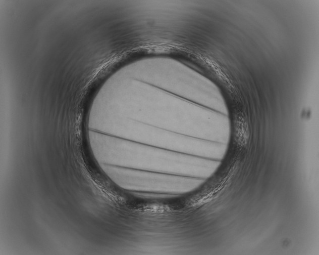 X0000094810543200712141624