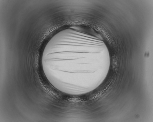 X0000094810544200712141624