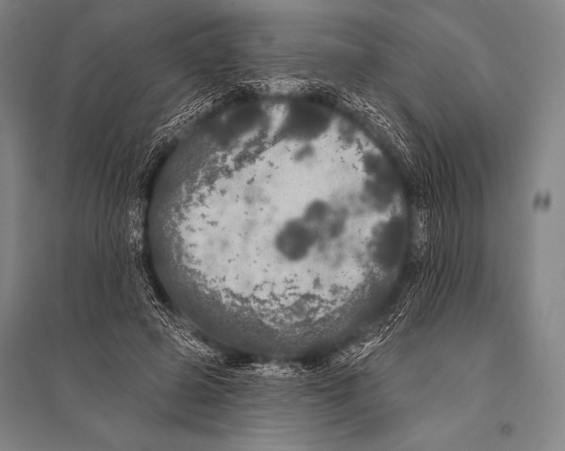 X0000094810545200712141624