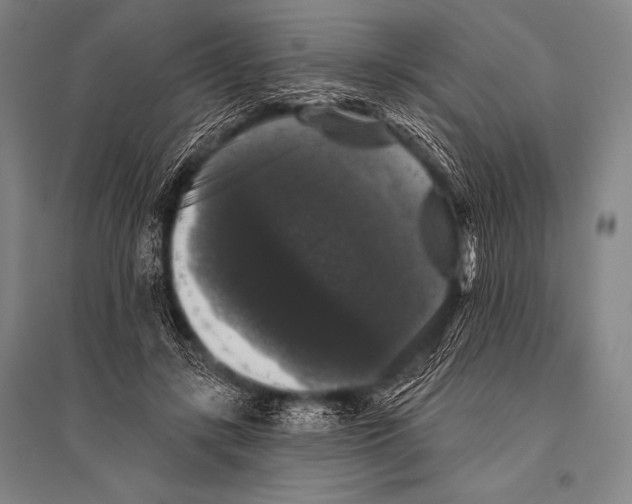 X0000094810547200712141624