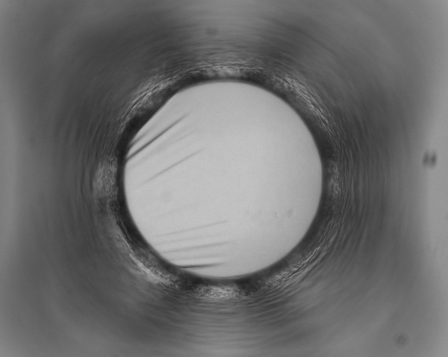 X0000094810548200712141624