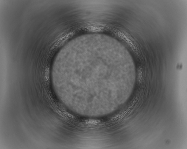 X0000094810549200712141624