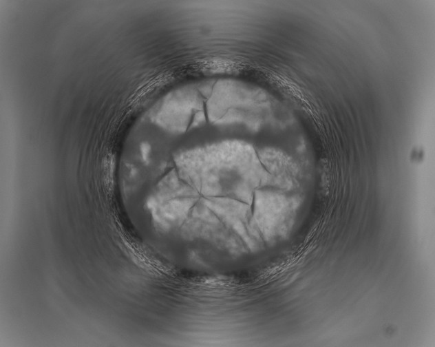 X0000094810550200712141624