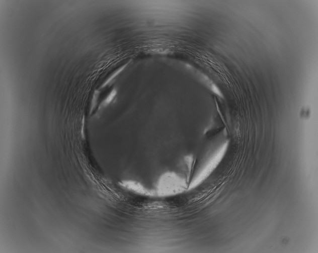 X0000094810551200712141624