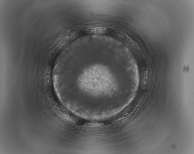 X0000094810553200712141624